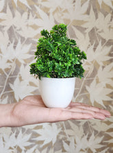 Artificial potted small indoor houseplants,small faux bushy plants (set of 2)