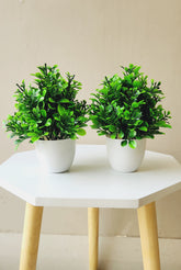 Artificial Small Faux Plants for Home Decor Bathroom Office Farmhouse Set of 2