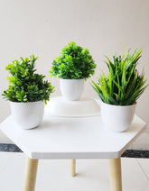 Artificial green forest bonsai Plant with Plastic Pot Set of 3