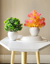 Artificial Mini Bonsai Plant with Plastic Pot for Home Office Table Greenery Room Plants (Set of 2)