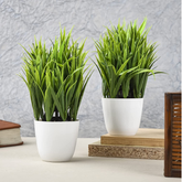 Artificial Plastic Eucalyptus Plants Small Indoor Potted Houseplants, Small Grass Plants for Home Decor Bathroom Office Farmhouse set of 2
