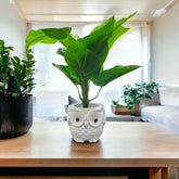 Natural Looking Artificial Plant with White Owl Shaped Pot