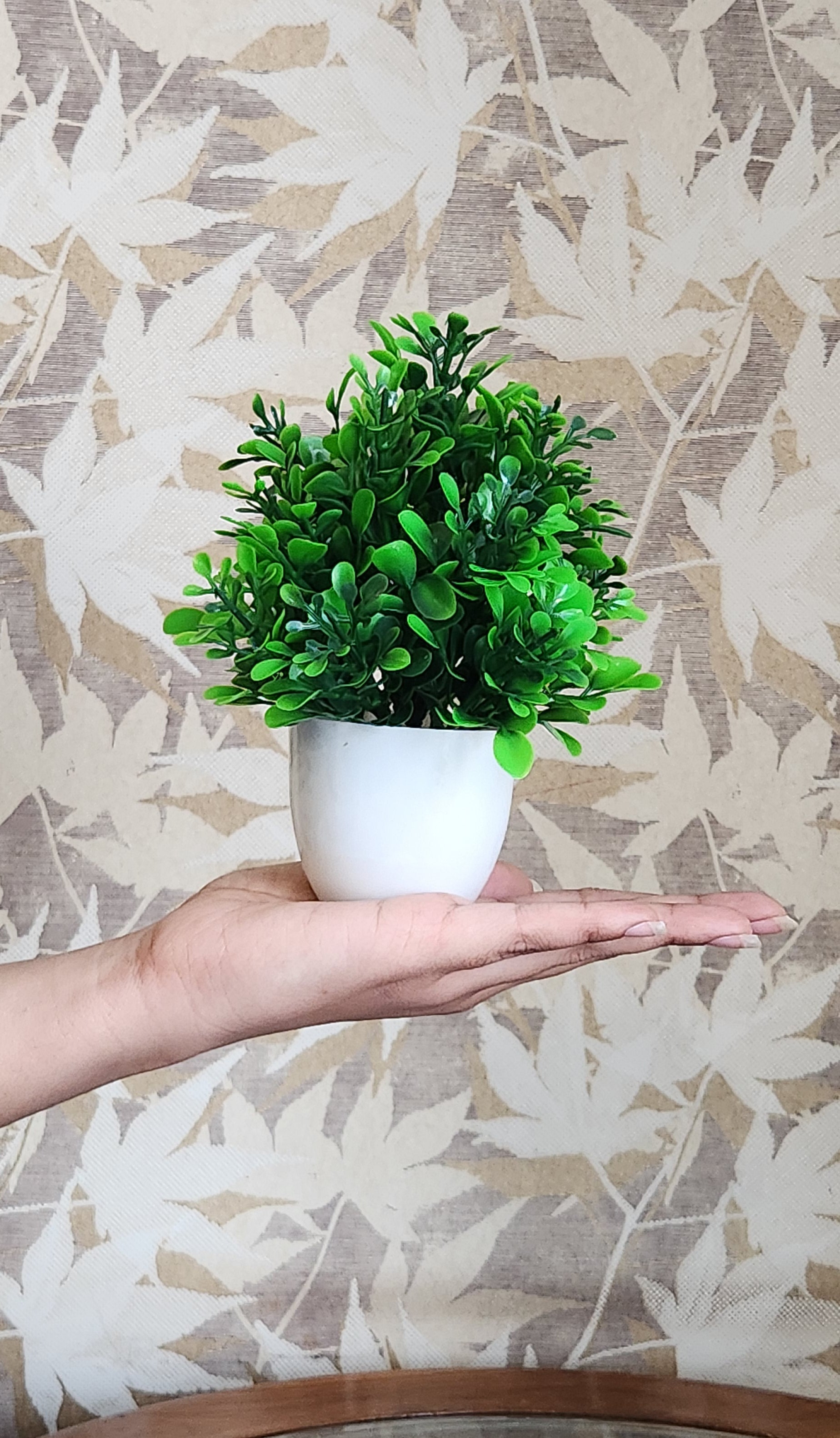 Artificial Small Faux Plants for Home Decor Bathroom Office Farmhouse Set of 2