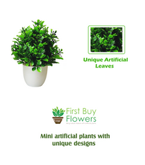 Artificial Small Faux Plants for Home Decor Bathroom Office Farmhouse Set of 2