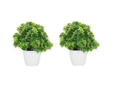 Artificial potted small indoor houseplants,small faux bushy plants (set of 2)