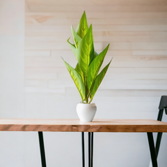 Artificial Faux Green Iceton Croton Plant wit pot
