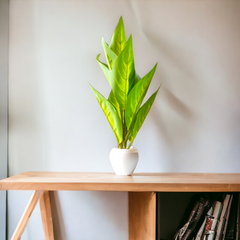Artificial Faux Green Iceton Croton Plant wit pot